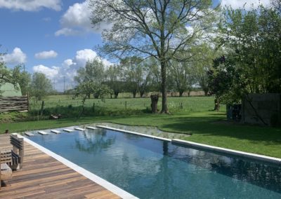 ecozwembad met houten terras in groene omgeving
