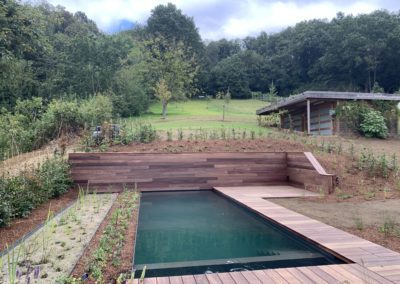 ecozwembad met plantenfilter gebouwd in sterk hellende tuin