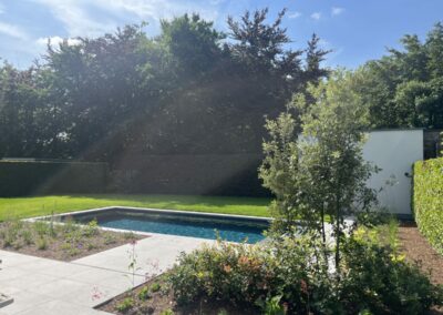 ecozwembad compact in zonnige tuin met ruim terras