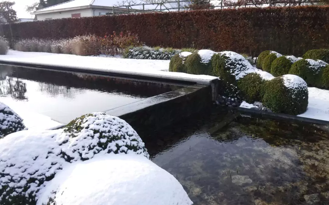 natuurlijk zwembad met overloop naar plantenfilterzone in besneeuwde demotuin