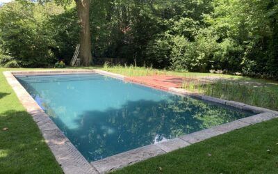 Waarom je je chloorzwembad beter vandaag dan morgen inruilt voor een natuurlijk zwembad.&nbsp;